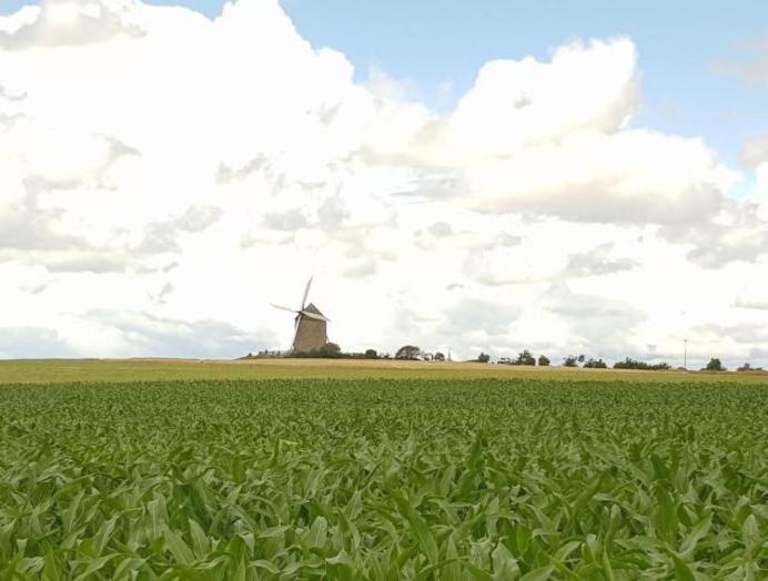 Gite Timeo Mont Saint-Michel Ποντορσόν Εξωτερικό φωτογραφία