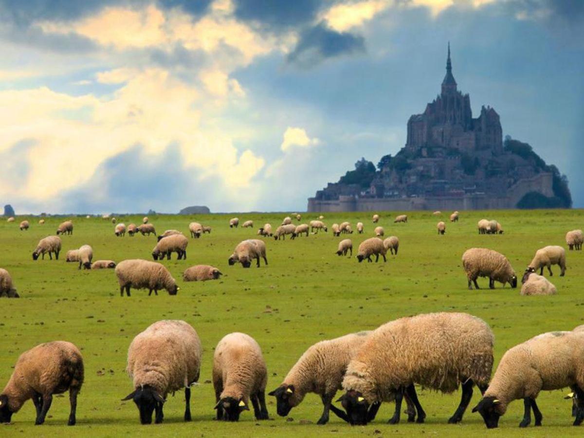 Gite Timeo Mont Saint-Michel Ποντορσόν Εξωτερικό φωτογραφία